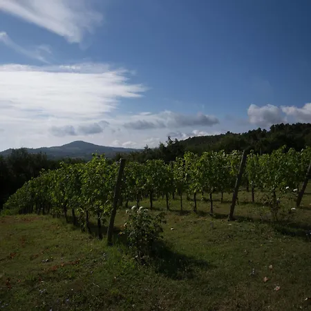 Oda ve Kahvaltı Casale A Poggiano 2*